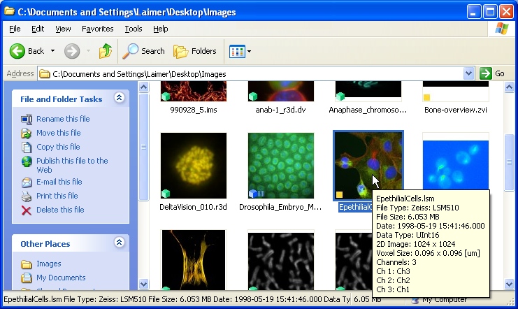 Windows Explorer Thumbnails